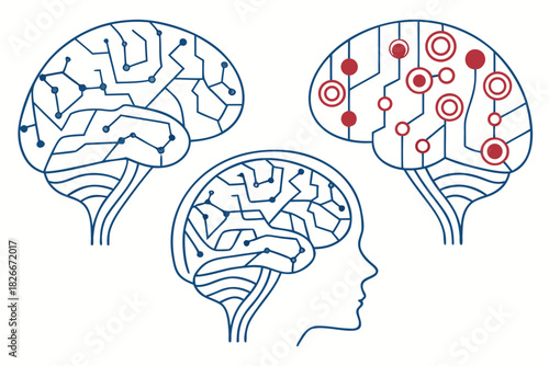 Three stylized brain outlines showing neural network connections and a profile mind