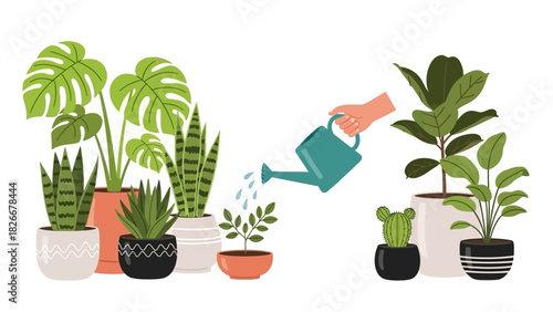 Caring for potted green plants at home, a hand with a watering can nurtures a group of indoor foliage