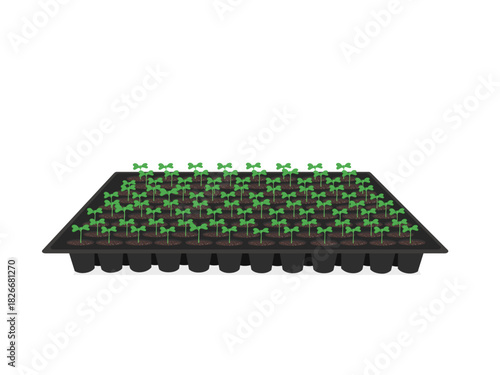 Hole tray for planting tree seedlings.