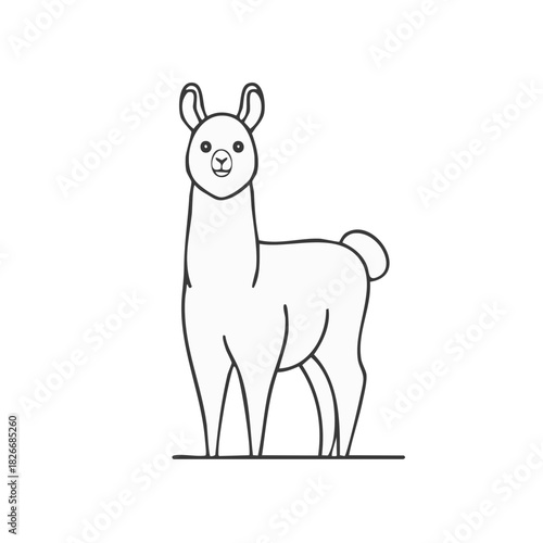 Llama Animal Illustration, Outlined Standing Llama, Line Art