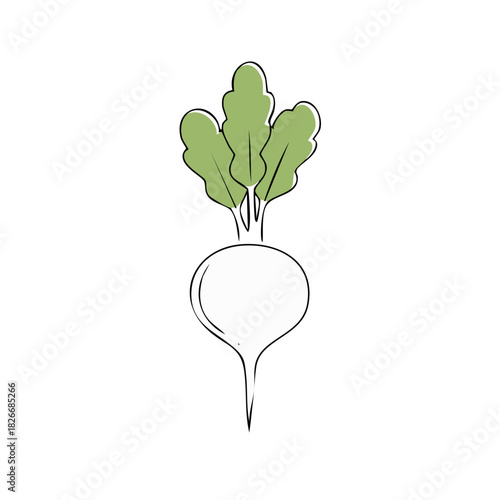 Minimalist radish drawing with green leaves, outline design for posters and art