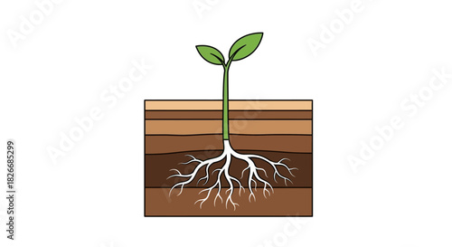 Illustration of a young plant growing in soil layers with visible roots and green leaves on a white background.
