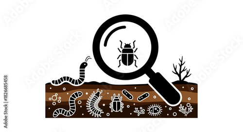 Illustration of a magnifying glass examining a beetle on a soil ecosystem with various insects and worms on a white background.