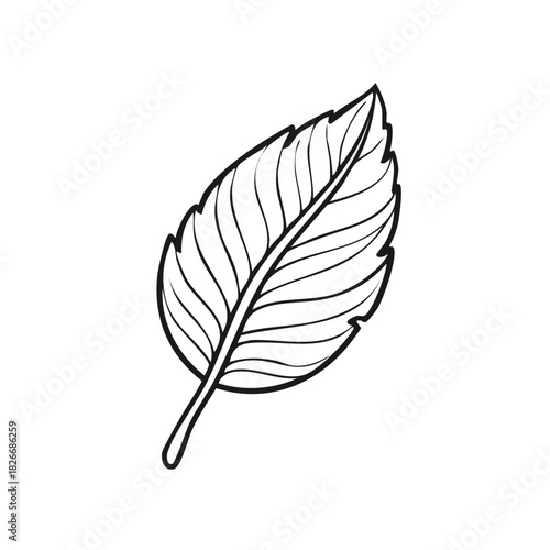 Hand Drawn Botanical Leaf Line Art Illustration Isolated