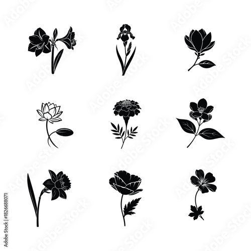 Black and white floral sketches of various flowers on white background