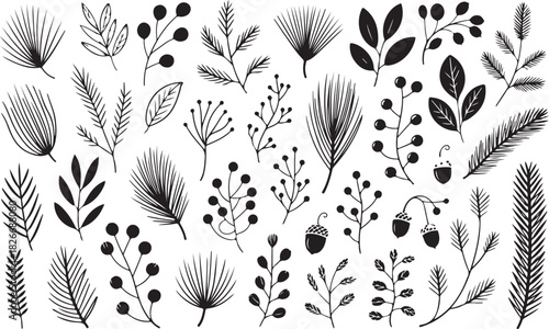 Christmas pine cone, fir tree, branch needle, leaf. Winter sprig, holly berry, Xmas spruce, mistletoe, evergreen cedar, black twig hand drawn isolated on white background. Nature vector illustration