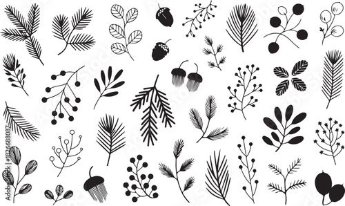 Christmas pine cone, fir tree, branch needle, leaf. Winter sprig, holly berry, Xmas spruce, mistletoe, evergreen cedar, black twig hand drawn isolated on white background. Nature vector illustration