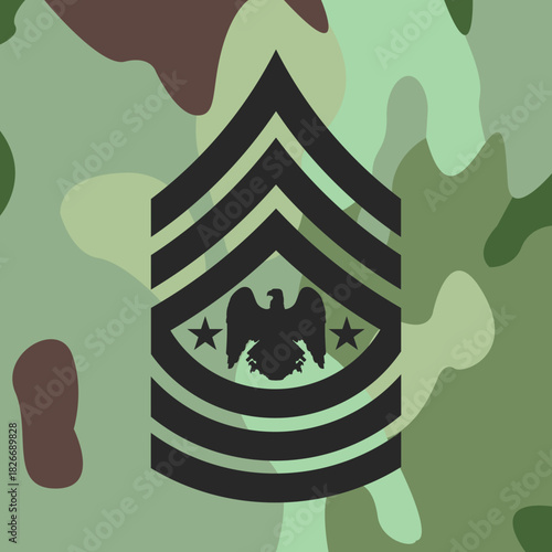 Senior enlisted advisor to the chief of the National Guard Bureau emblem icon on army uniform, insignia, vector.