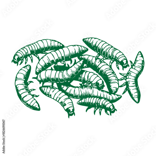 Pile of Fishing Maggots