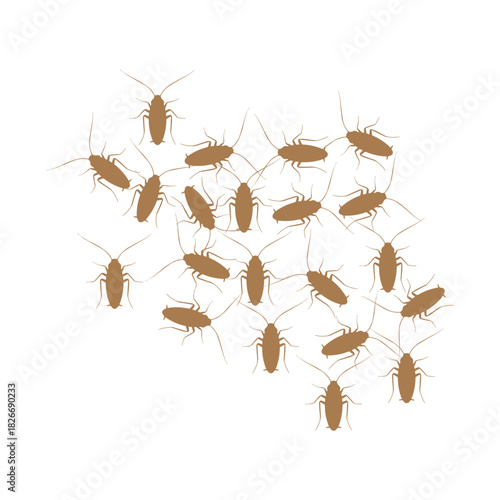 Cockroach Swarm