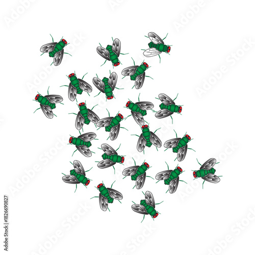 Flies Swarming Together