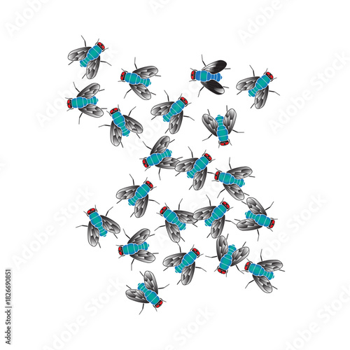 Flies swarm together