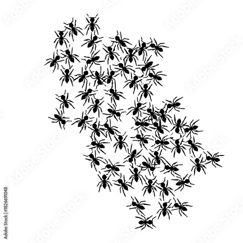 Swarm of Ants