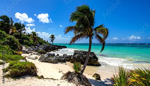 Fototapeta Naklejka Na Ścianę i Meble -  Tropical beach scene palm tree, turquoise water, sandy shore, and rocky coastline under a vibrant blue sky