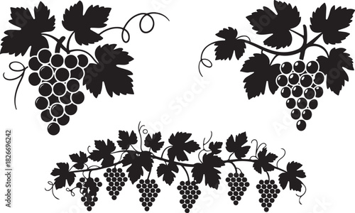 Grapes vine bunch silhouette