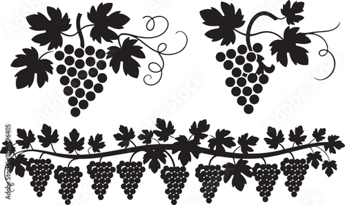 Grapes vine bunch silhouette