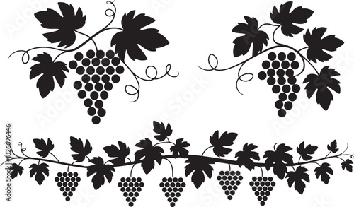 Grapes vine bunch silhouette