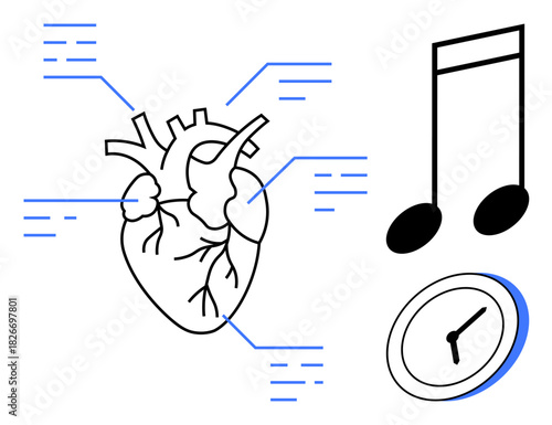 Human heart with labeled arteries and veins, clock symbolizing time, music note depicting rhythm. Ideal for health, anatomy, cardiology, time management, rhythm education science. Simple flat
