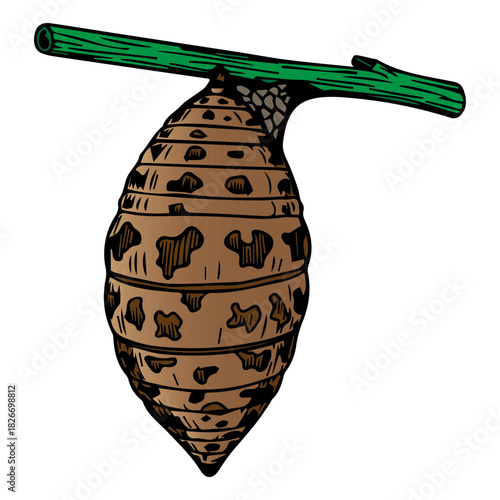 Hanging insect cocoon