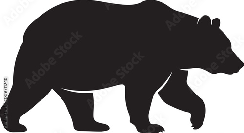 Black silhouette of bear walking on white background, vector
