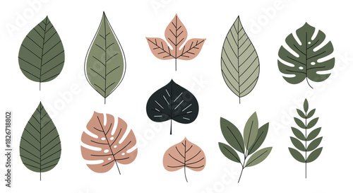 A diverse collection of stylized leaf illustrations featuring various shapes, colors, and botanical patterns, ideal for nature-themed designs.