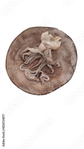 seppia octopus fresh raw cuttlefish on a plate.
