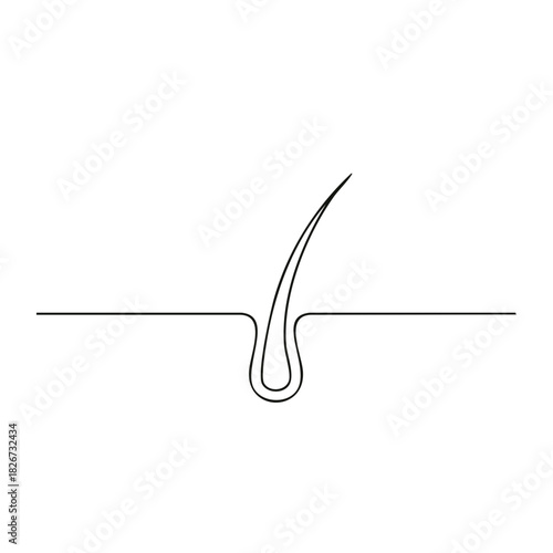 Single Line Drawing of Human Hair Follicle Showing Hair Growth and Health