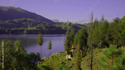 Wooden cabin in a pine forest in front of a lake 