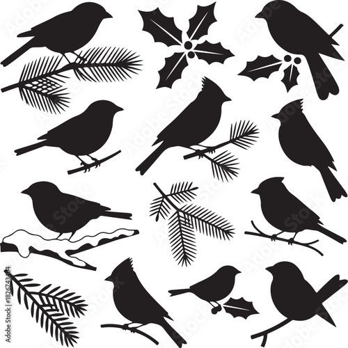 Silhouette illustration of birds and pine branches for Christmas season decoration