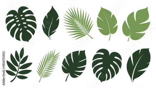 A diverse collection of tropical leaves, featuring various green foliage silhouettes including monstera and palm fronds, perfect for design elements