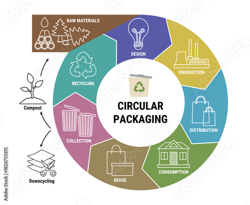 Circular packaging economy line infographic. Sustainable Circular Packaging Cycle business model. Scheme of product life cycle from raw material to production, consumption, reuse, refill, recycle