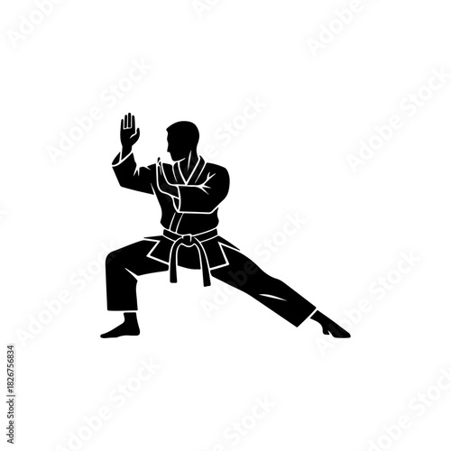 Silhouette of a martial artist in a fighting stance.
