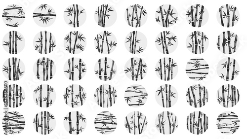 Collection of bamboo illustrations