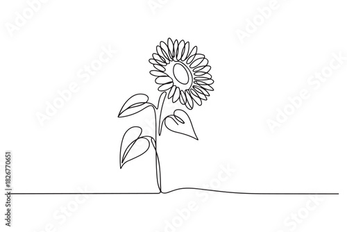 Minimalist sunflower outline one line drawing floral decorative vector illustration
