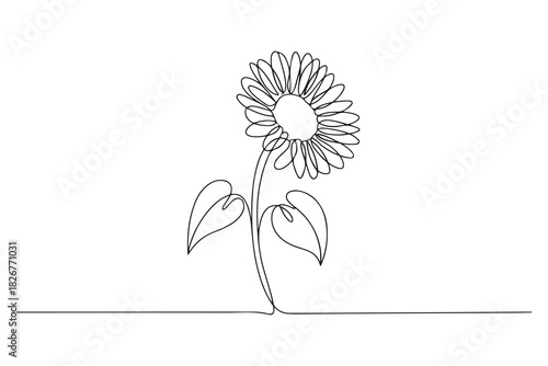 Minimalist sunflower outline one line drawing floral decorative vector illustration
