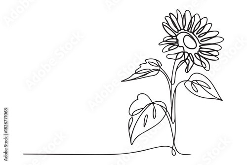 Minimalist sunflower outline one line drawing floral decorative vector illustration
