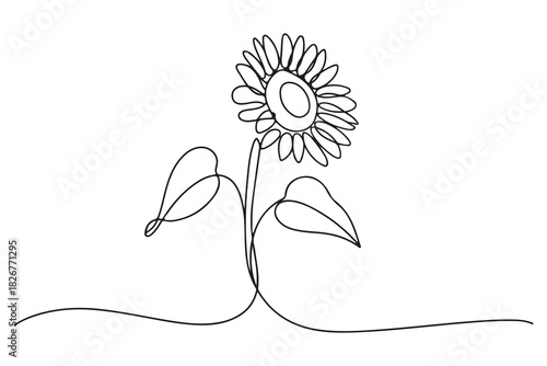 Minimalist sunflower outline one line drawing floral decorative vector illustration
