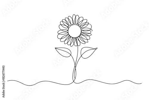 Minimalist sunflower outline one line drawing floral decorative vector illustration
