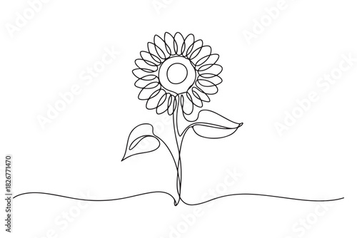 Minimalist sunflower outline one line drawing floral decorative vector illustration
