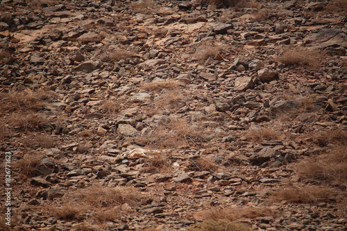 Arid rocky soil texture background (Boa Vista Island, Cabo Verde, Africa)