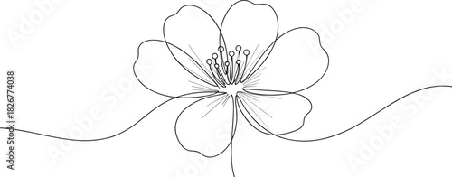 Single-line flower illustration—minimalist contour drawing with flowing petals and stamens for elegant design and tattoo visuals
