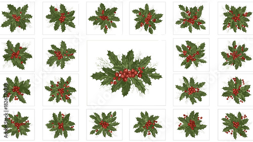 Collection of holly sprigs with red berries