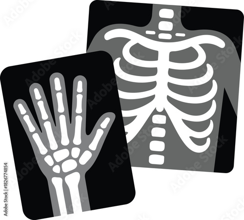 Simple X-ray skeleton illustration for educational use. Perfect for kids science, medical learning, anatomy concepts, and health education.