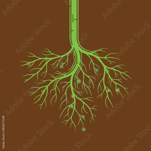 An illustration depicts a tree's root system, showcasing its intricate network beneath the earth's surface, vital for sustenance and stability.