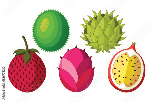 Exotic Tropical Fruits Vector Set (Dragon Fruit)
