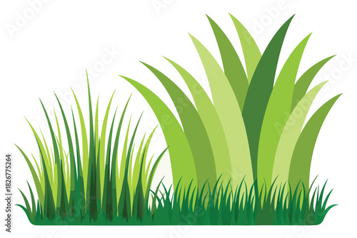 Fresh Green Grass Tufts Vector Set
