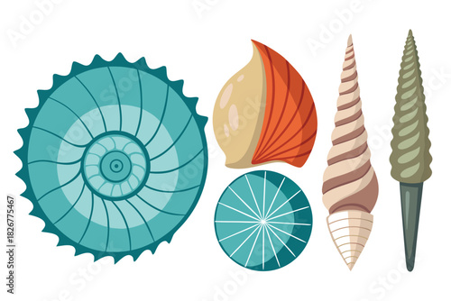 Colorful Ocean Shells Collection (Flat Design)