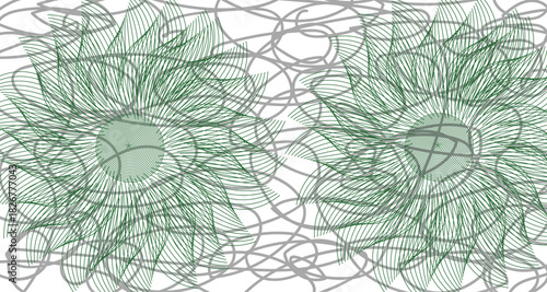 VerdureLoop Studio background