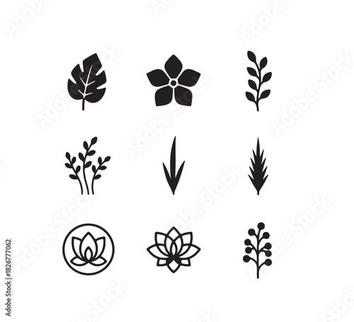 A versatile collection of elegant botanical design motifs and natural plant illustrations, offering a wide array of organic graphic elements for branding and creative projects