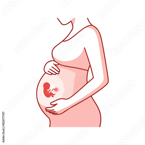 Illustration of a pregnant woman with a visible fetus.